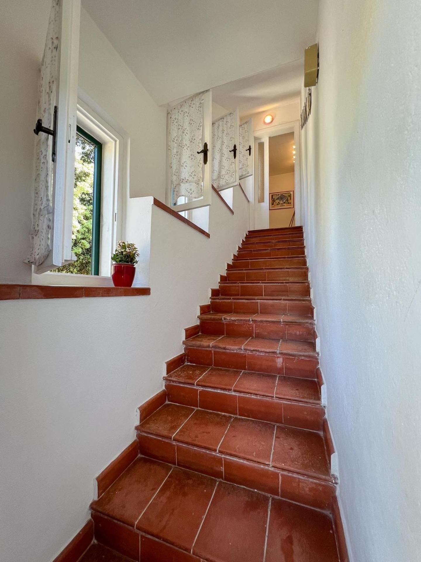 Azienda Agricola Sapereta Porto Azzurro Dış mekan fotoğraf