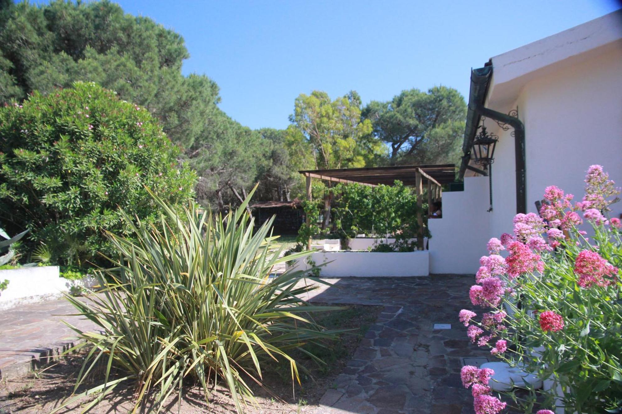 Azienda Agricola Sapereta Porto Azzurro Dış mekan fotoğraf